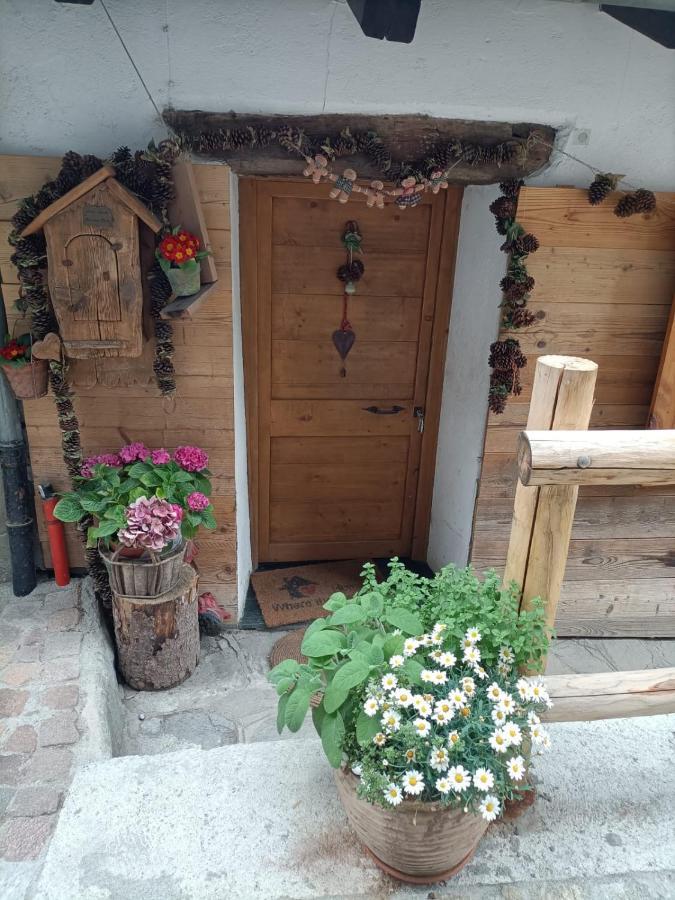 Maison Du Mont Aosta Exteriör bild